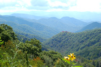 Great Smoky Mountains Vacation